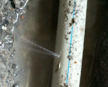 贾汪卫生间测漏水多少钱